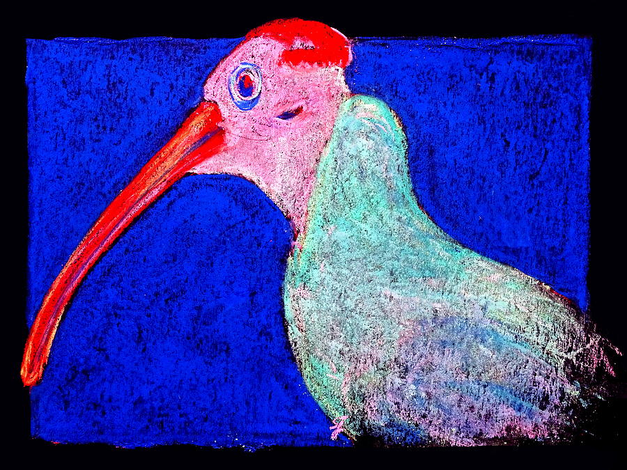 Funky Southern Bald Ibis Red Wig Bird Art Prints Painting by Sue Jacobi