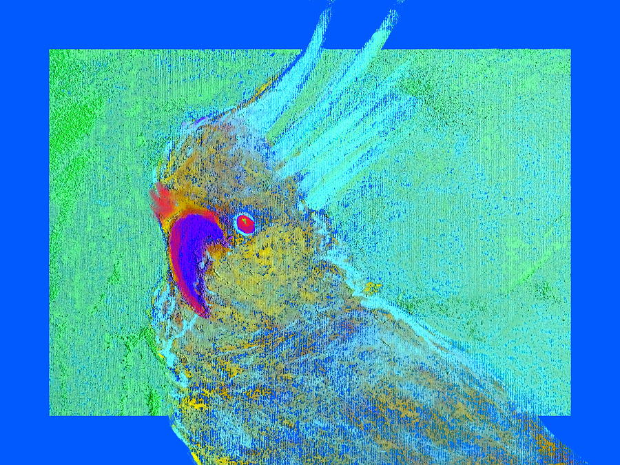 Bird Painting - Funky Sulphur Crested Cockatoo Bird Art Prints by Sue Jacobi