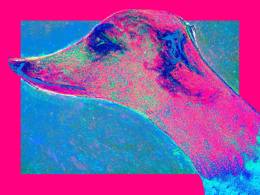 Dog Painting - Funky Whippet Dog Art Print by Sue Jacobi