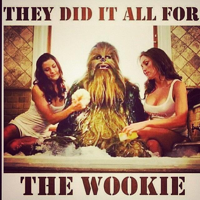 Stoopid Photograph - Funny Ass Shit Right Here! Chewbacca Is by Slightly Stoopid