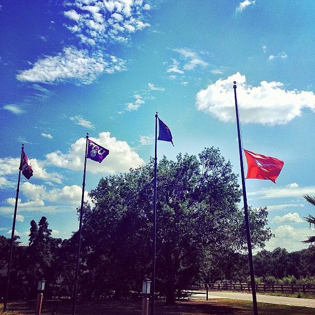 Funny, Funny....the Texas Flag Flying Photograph by Things To Do In Austin Texas