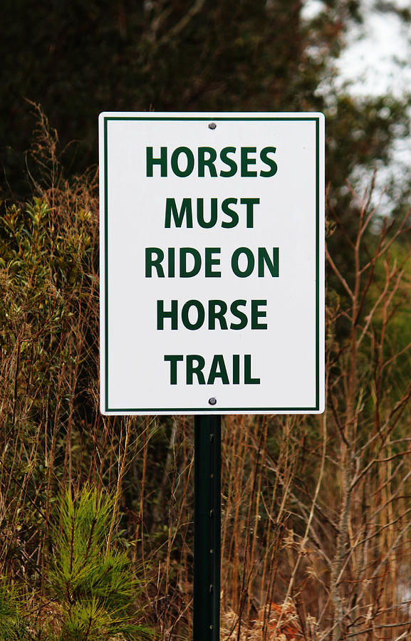 Funny Sign For Horses Photograph by Cynthia Guinn