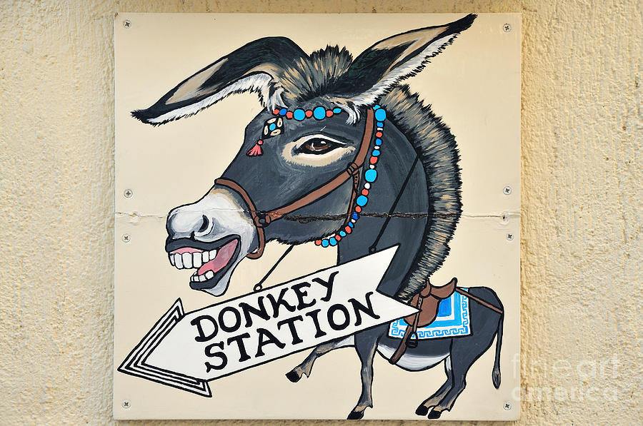 Donkey Photograph - Funny sign in Fira city by George Atsametakis
