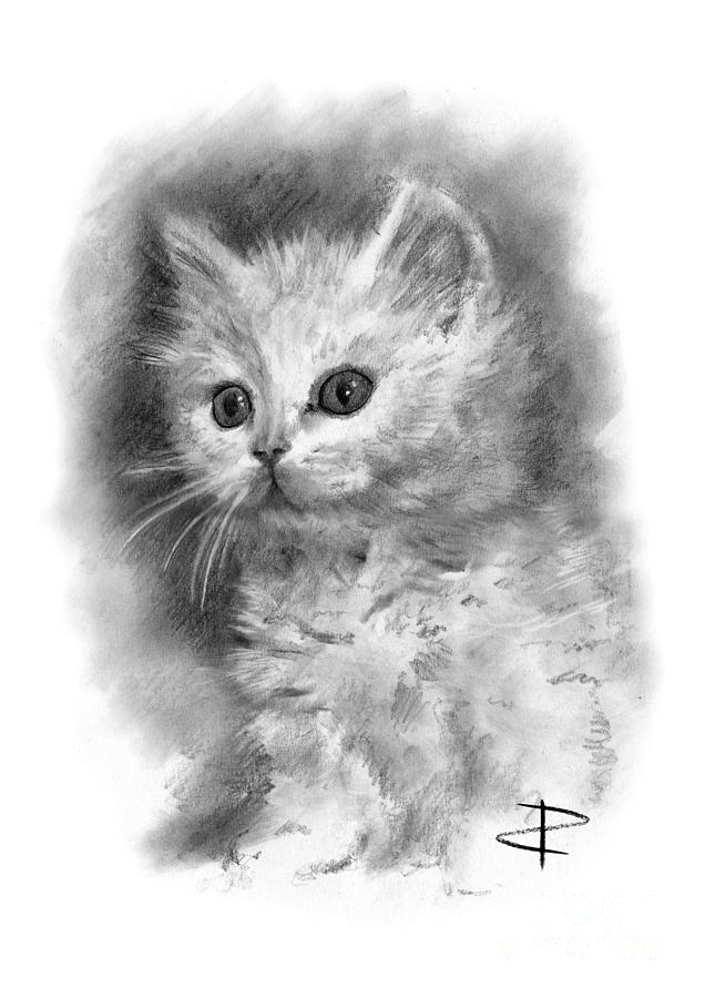 Black And White Drawing - Furball by Paul Davenport