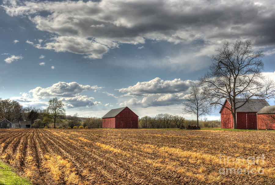Furrowed Spring Fields Photograph