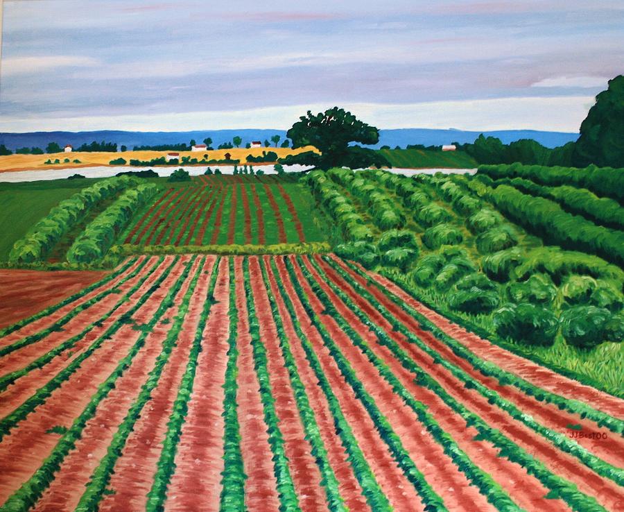 Furrows Painting by Janice Best