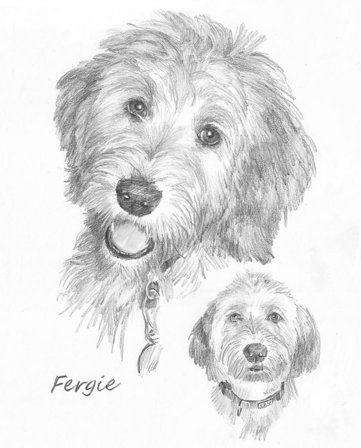 fluffy dog sketch