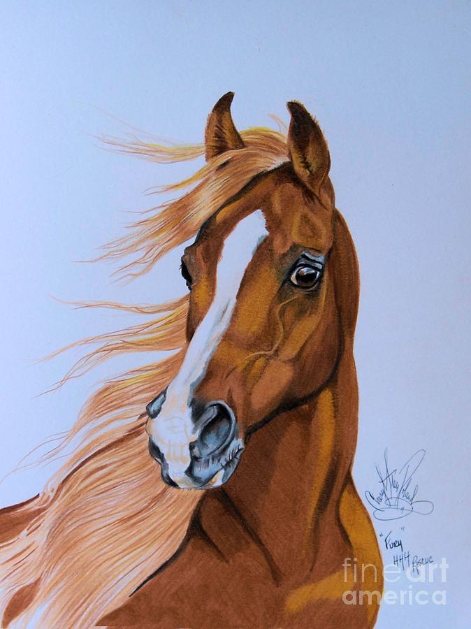 Horse Drawing - Fury - HHH Horse Rescue Series 2 by Cheryl Poland