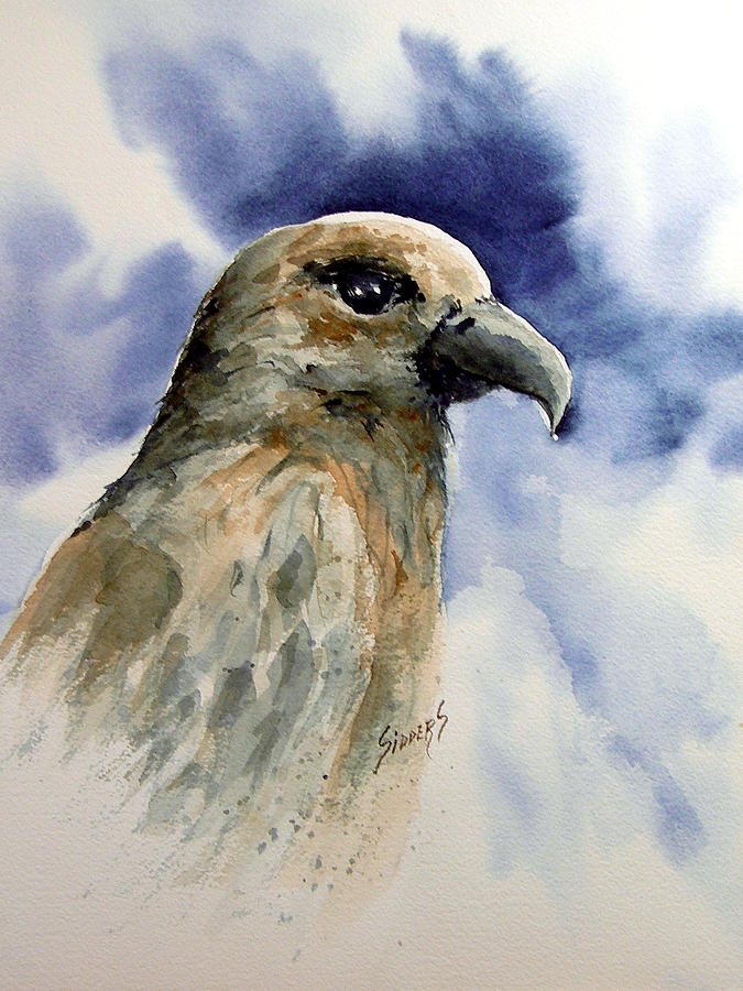 Hawk Painting - Fury by Sam Sidders
