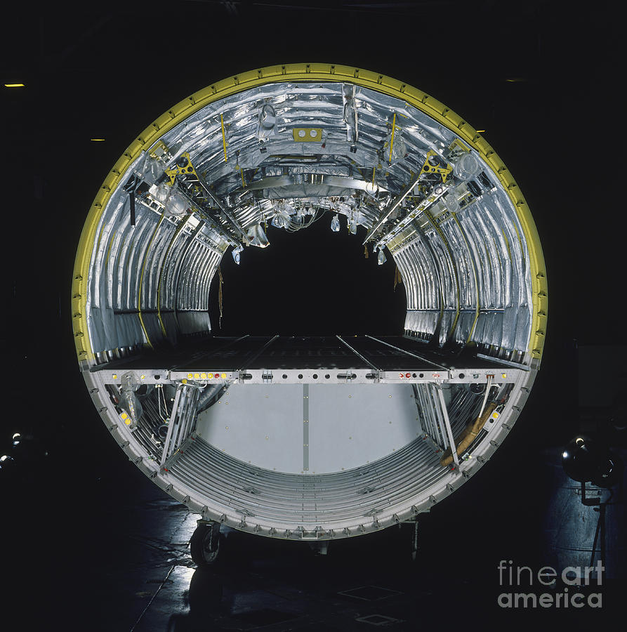Fuselage Section Of Bae 146 Aircraft Photograph by Dave King / Dorling Kindersley