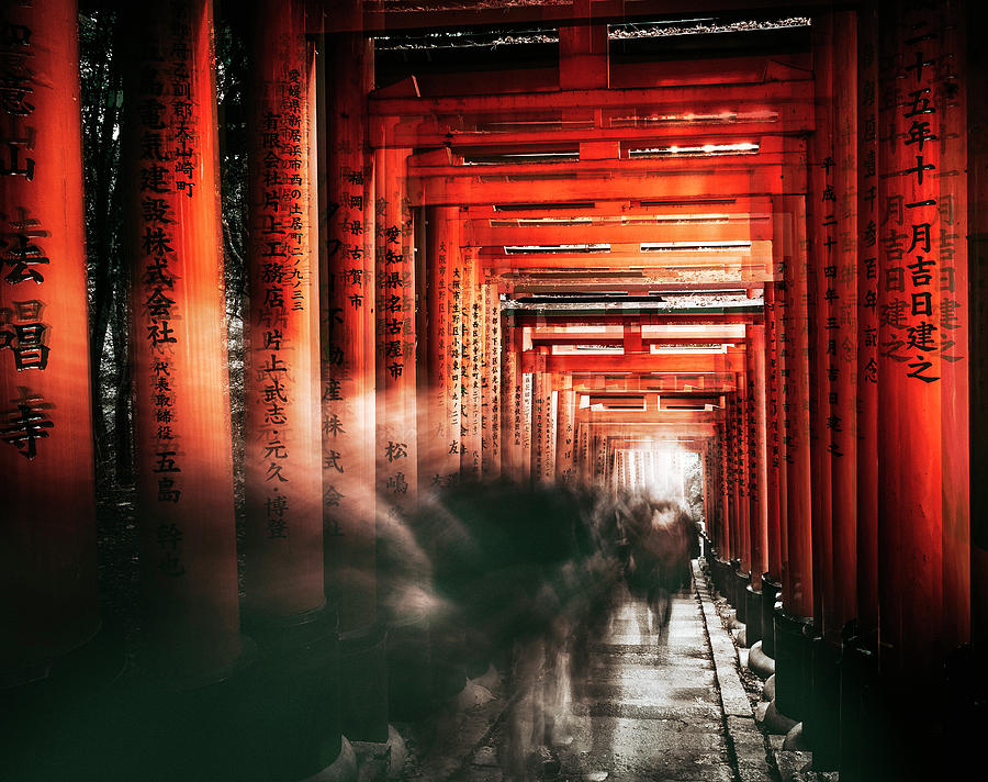 Sign Photograph - Fushimi Inari Shrine by Carmine Chiriaco