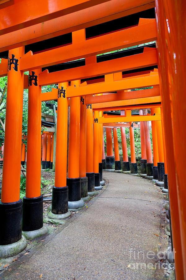 Architecture Photograph - Fushimi Inari shrine Kyoto Japan by Fototrav Print