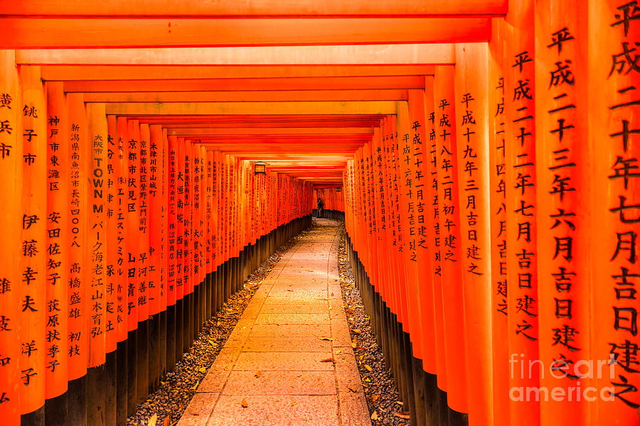 Fushimi Inari Taisha Shrine in Kyoto  Photograph by Luciano Mortula