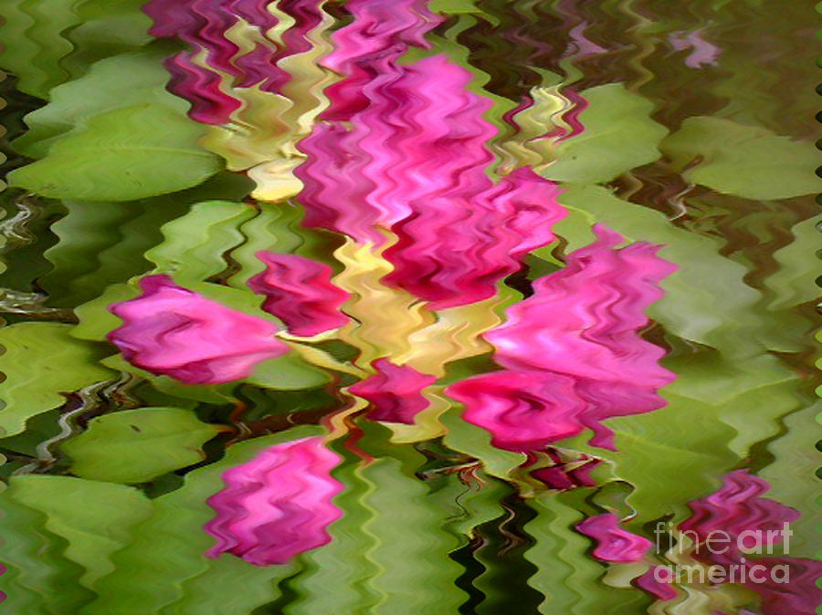 Flowers Still Life Photograph - Fusia Flower Fun by Lewanda Laboy