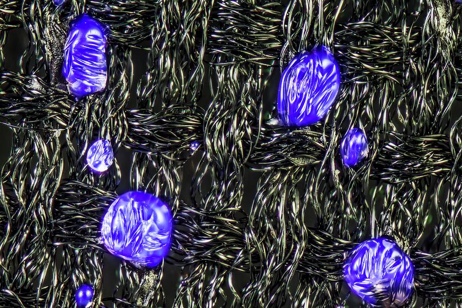 Fusible Interlining Photograph by Science Photo Library Fusible Interlining Photograph by Science Photo Library