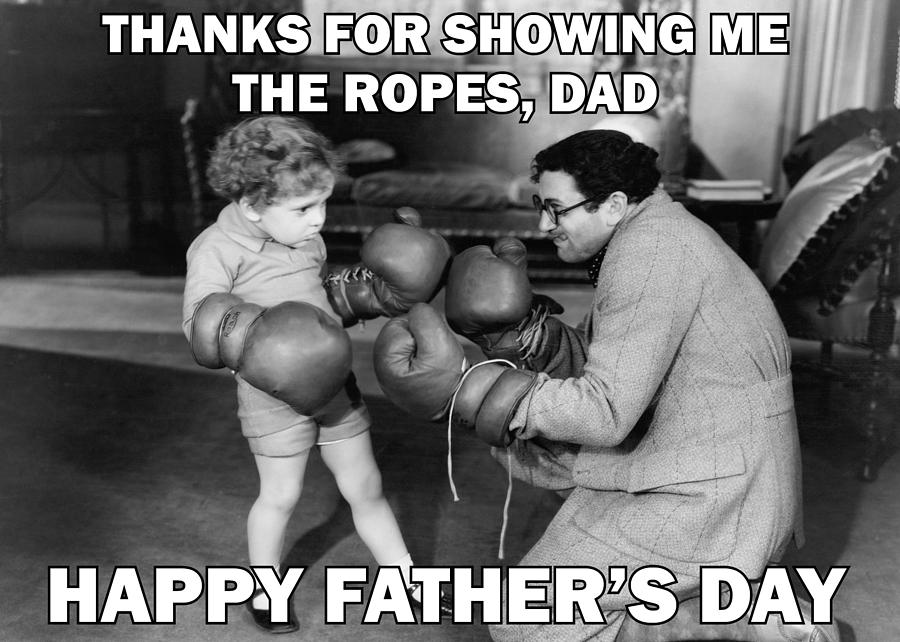 Future Boxer Greeting Card Photograph by Communique Cards