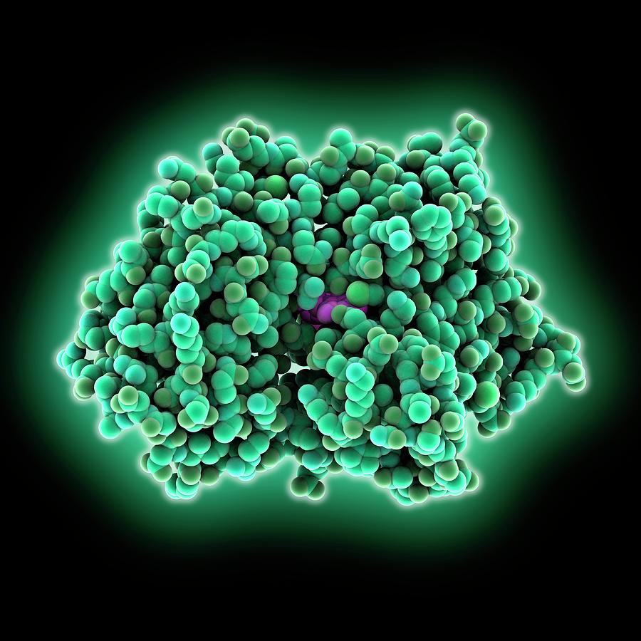 G Protein Complex Photograph by Laguna Design