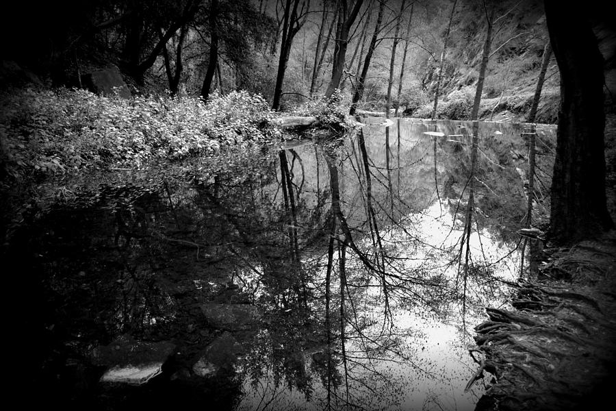 Black And White Photograph - Gaeas Reflection by Mikki Cromer
