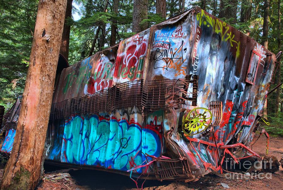 Gaffiti In The Candian Forest Photograph by Adam Jewell