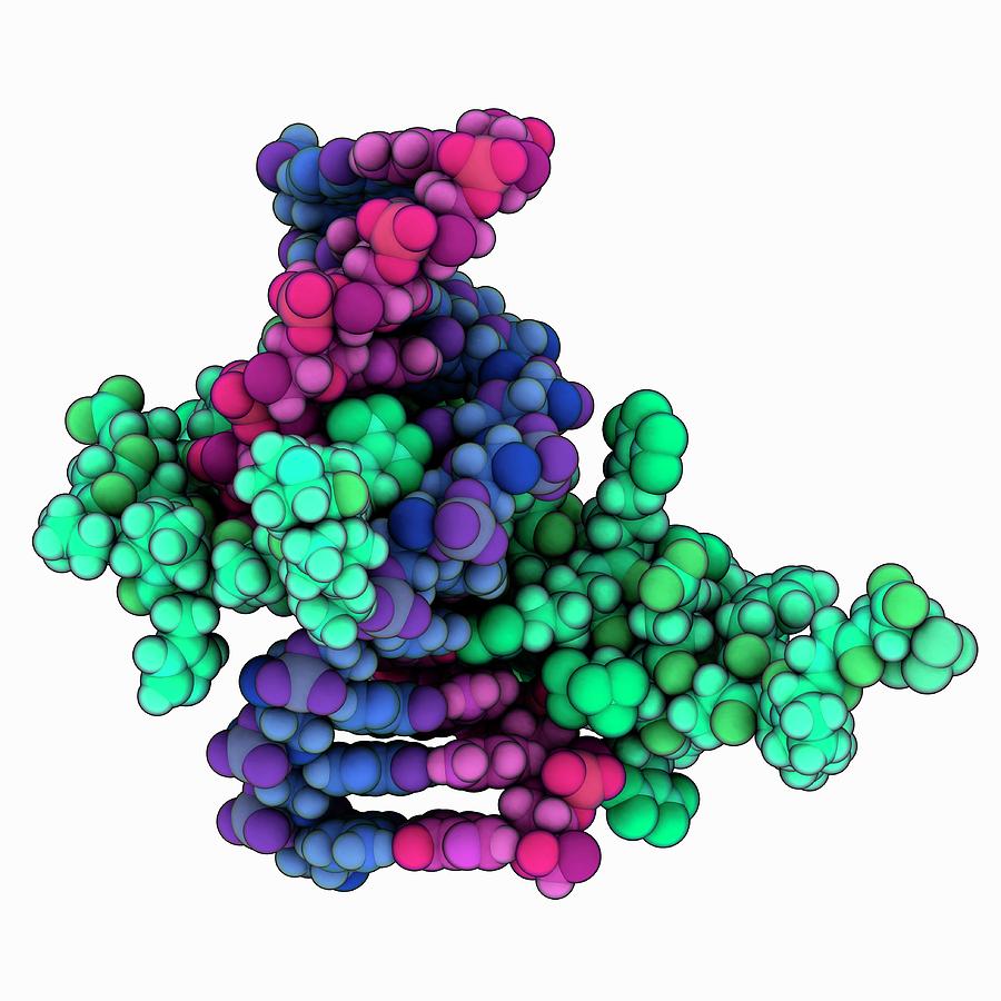 Gaga Factor Complexed With Dna Photograph By Laguna Designscience