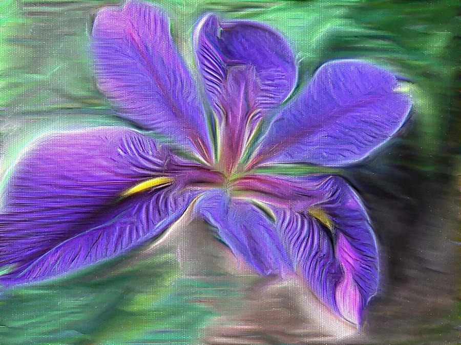Flower Digital Art - Gails Iris by Suzanne Muldrow