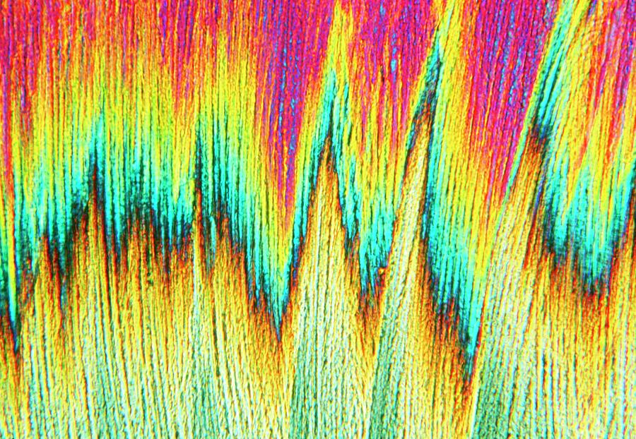 Galactose Crystals Photograph by Sidney Moulds/science Photo Library