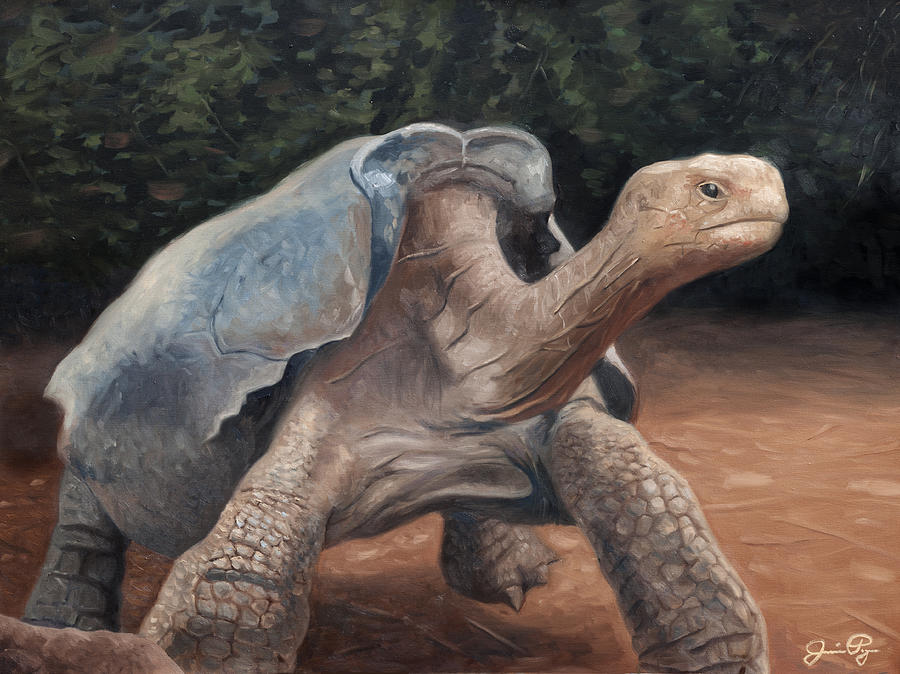 Jungle Painting - Galapagos Tortoise by Jamie Pogue