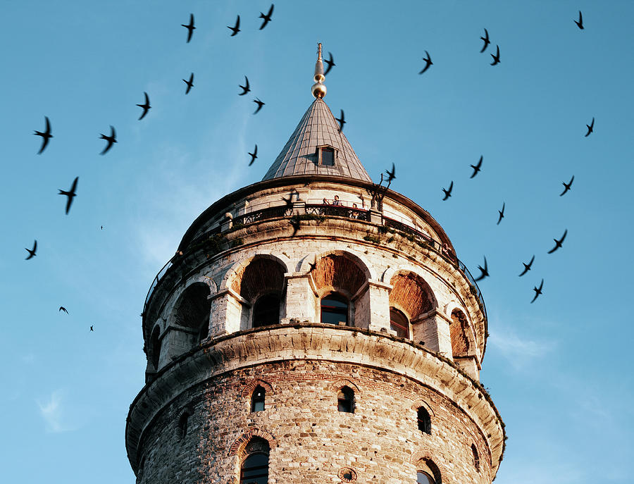 Galata Tower Surrounded By Birds At Photograph by Gary Yeowell