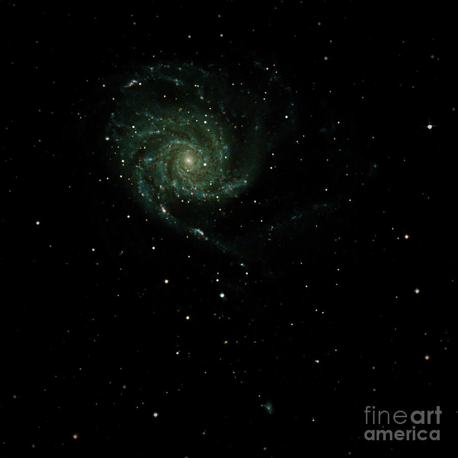 Galaxy M101 Photograph by Chuck Caramella