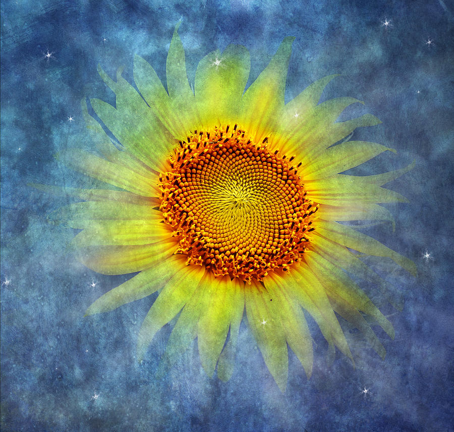 Galactic Bloom  Photograph by Marina Kojukhova