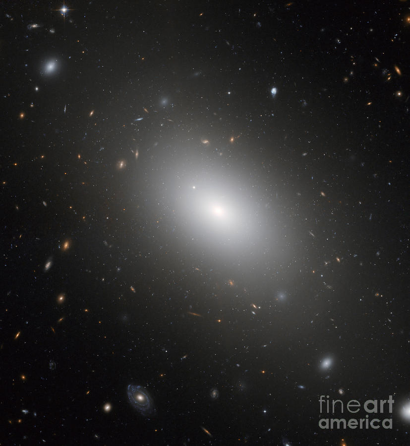 Space Photograph - Galaxy Ngc 1132 by Science Source