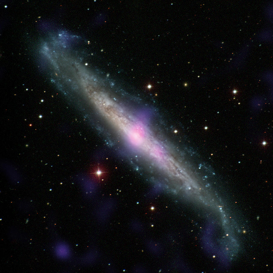 Galaxy Ngc 1448 Photograph by Science Source