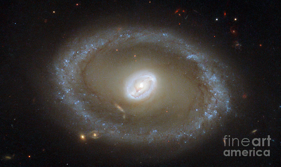 Galaxy Ngc 3081 Photograph by Science Source