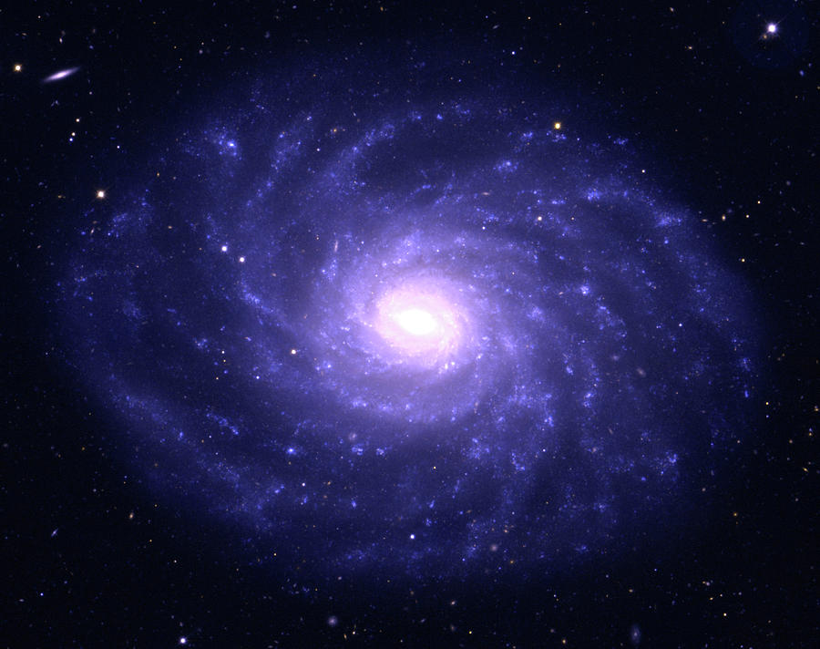 Galaxy Ngc 3486 Photograph by Jean-charles Cuillandre/canada-france- Hawaii Telescope/science Photo Library