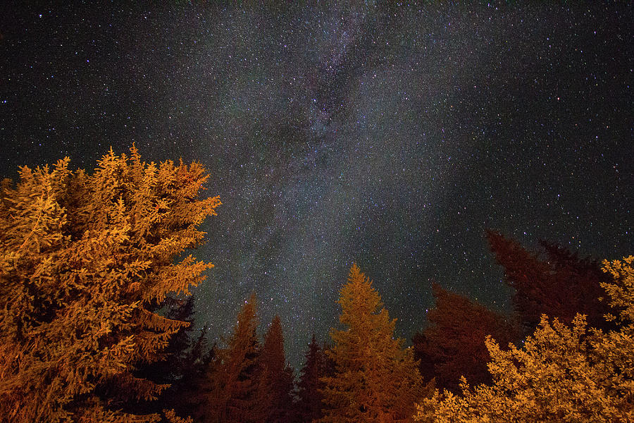 Galaxy Over The Forest Of Elatia Photograph by Chris Papadopoulos