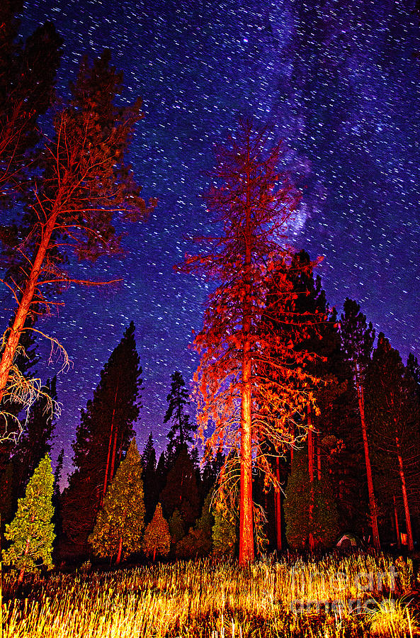 Galaxy Stars by The Campfire Photograph by Jerry Cowart