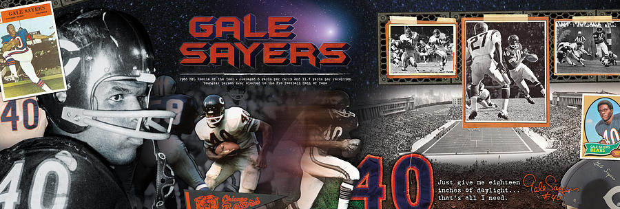 Rookie Of The Year Movie Photograph - Gale Sayers Panoramic by Retro Images Archive