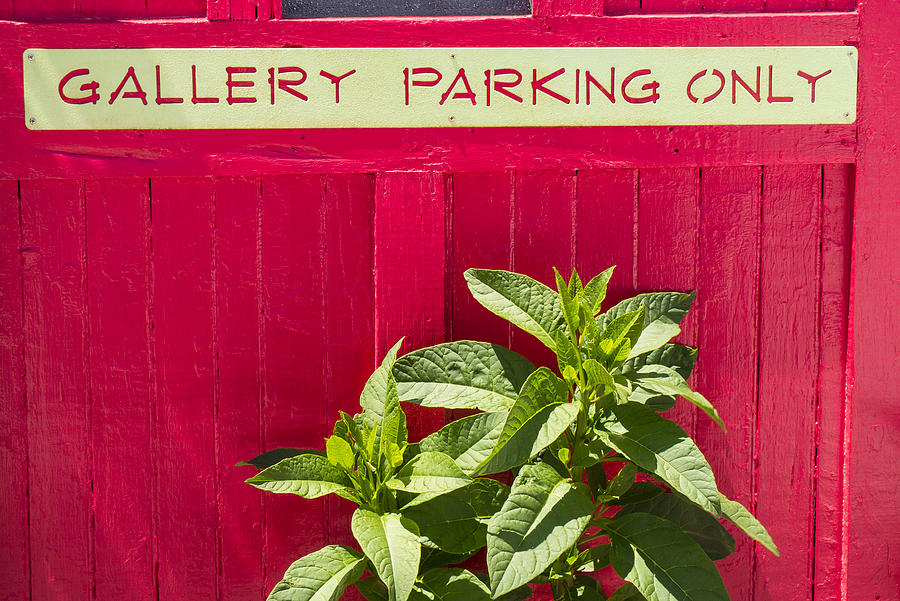 Gallery Parking Only Photograph by Frank Winters