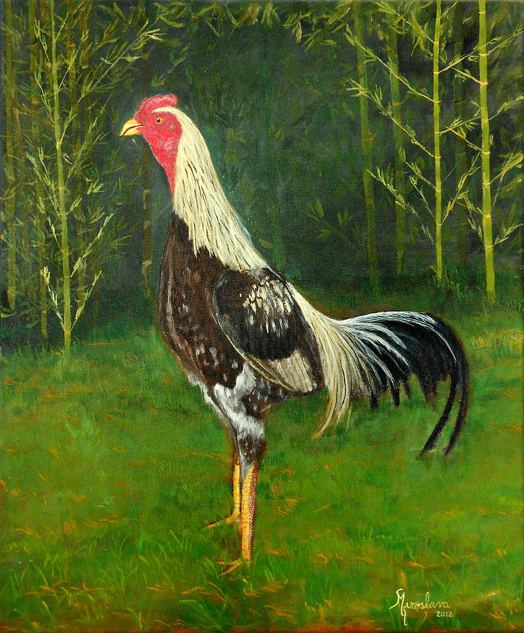 Gallo Giro