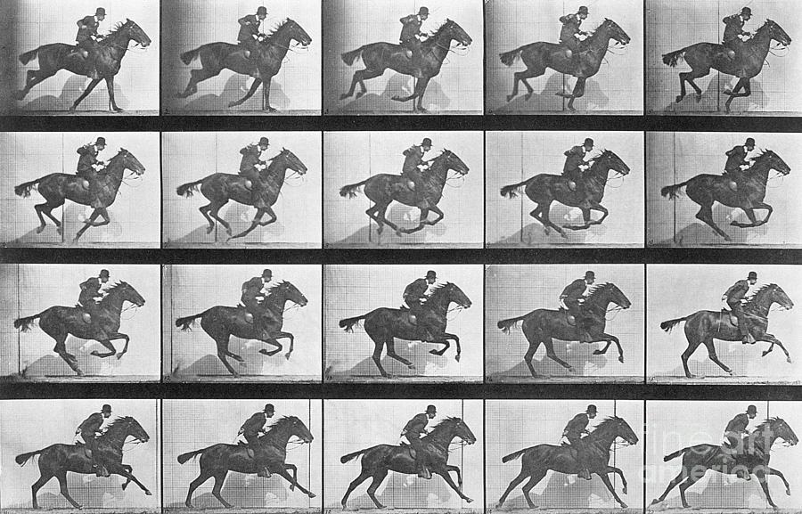 Galloping Horse, plate 628 from Animal Locomotion, 1887 by Muybridge Photograph by Eadweard Muybridge