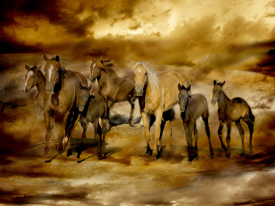 Animal Photograph - Galloping Sunrise by MGL Meiklejohn Graphics Licensing