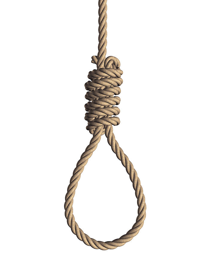 Gallows noose on white Background  Photograph by Artpartner-images