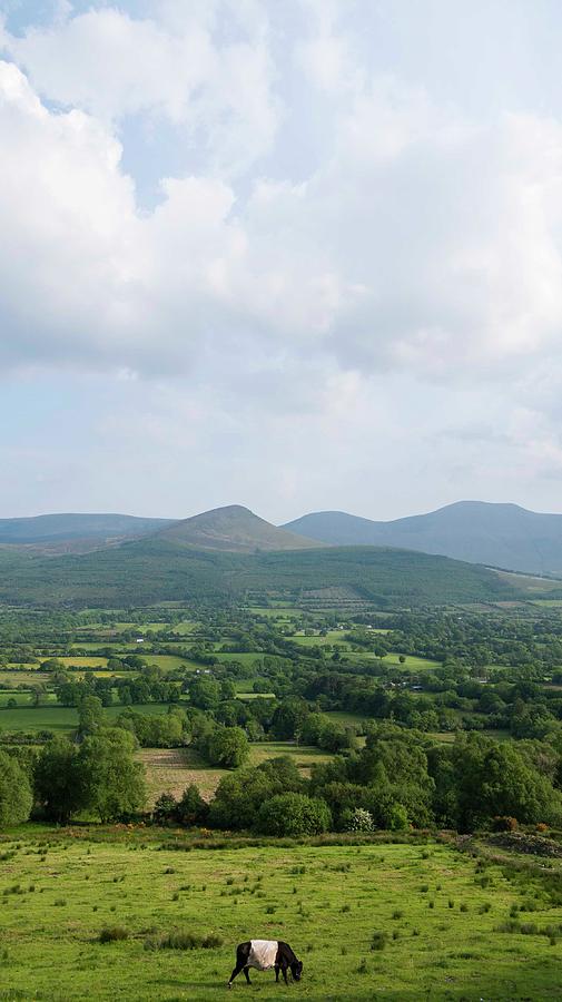 Galtee Mountain Range And Black And Photograph by Leverstock