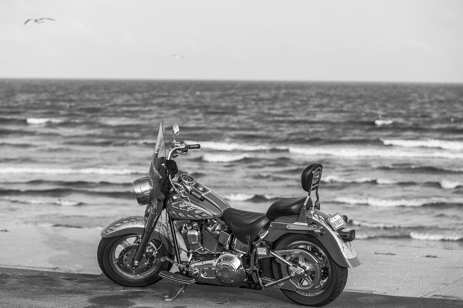 Galveston Harley Davidson Photograph by John McGraw