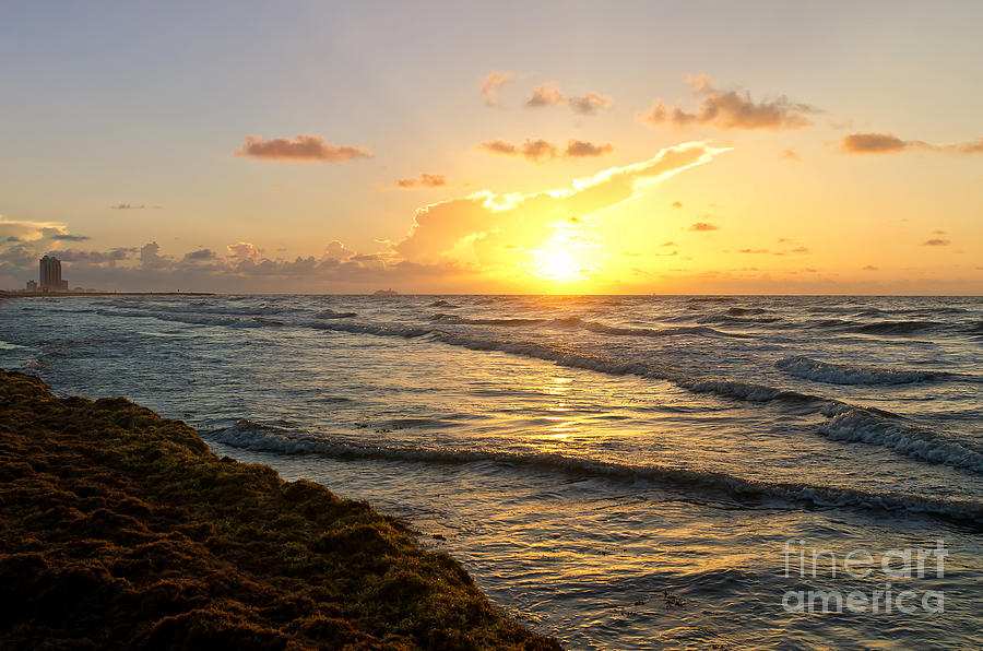 Galveston Sunrise Photograph by Cathy Alba