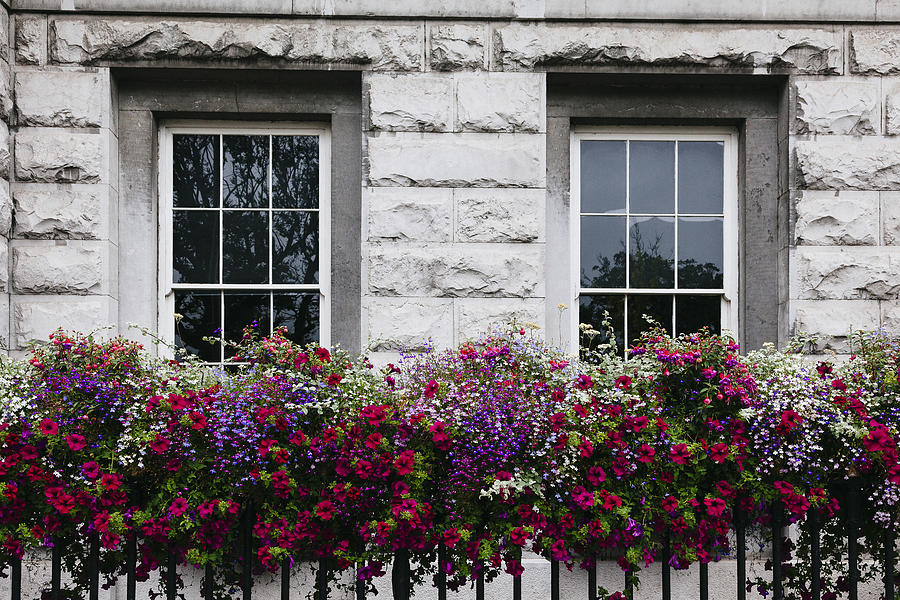 Galway Flower Baskets Photograph by Laura Tucker