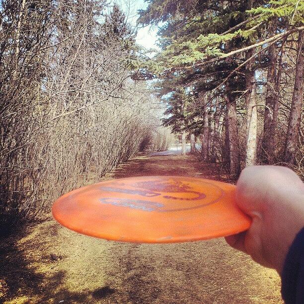Game Time Here I Come Hole 2 Disc Golf Photograph by Jar Robertson