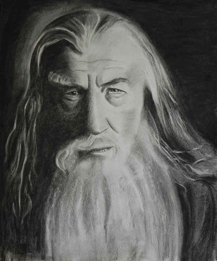 Gandalf. Portrait. Charcoal. Drawing By Kira Rubtsova