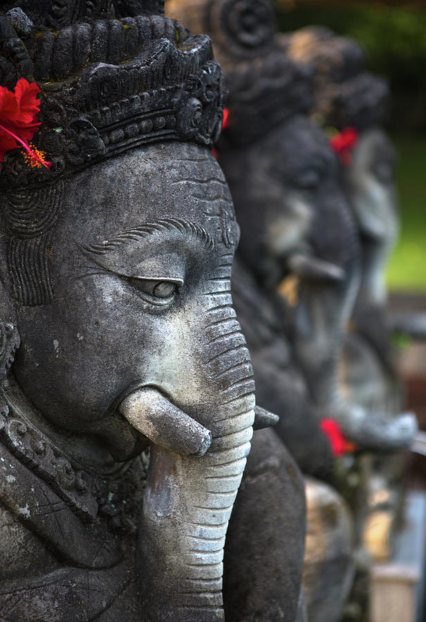 Ganesha Photograph by Romulo Rejon