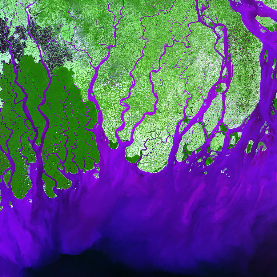 Ganges River Delta Photograph by USGS Landsat